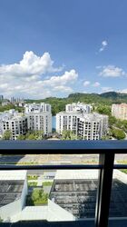 The Hillier (D23), Apartment #455509761
